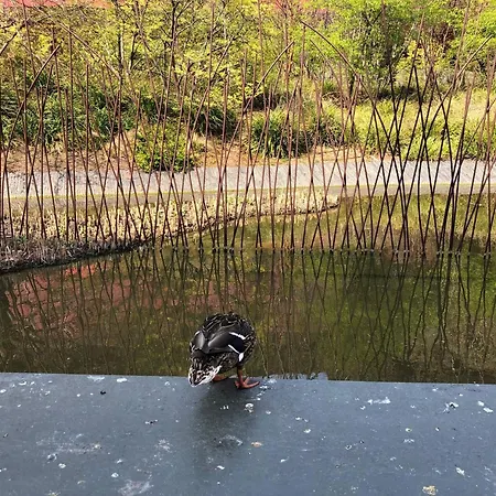 Cosy Eiffel Tower Design Paris