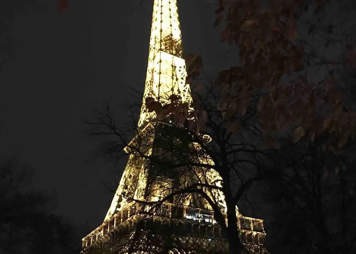 Cosy Eiffel Tower Design Paris